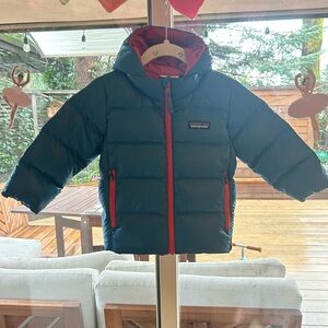 NWT Patagonia Baby Hi Loft Down Sweater Hoody